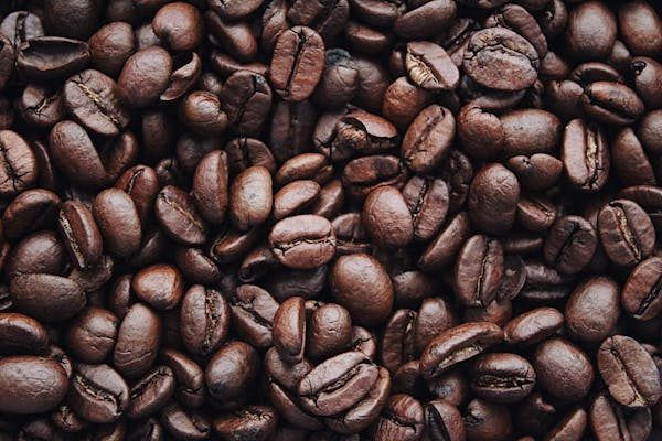 Unlocking the secrets of sourcing wholesale coffee